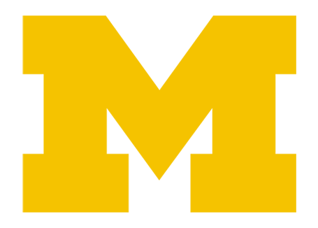 Michigan Sports Camps - Cheer