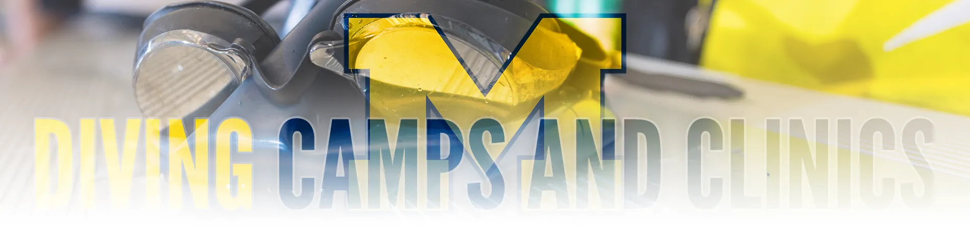 Michigan Sports Camps Diving Camps and Clinics